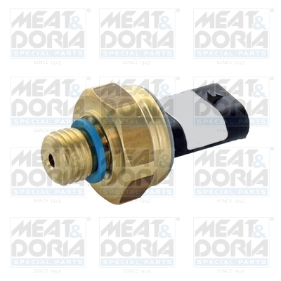 Oil Pressure Switch